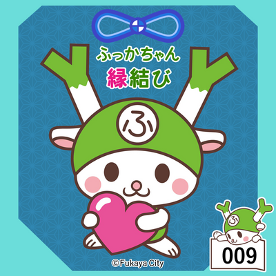 ふっかちゃんNFT #009