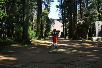 ある日のソーサレッド